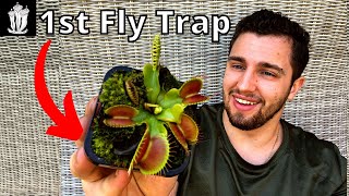 What to do With your First Fly Trap - Venus Fly Trap Care