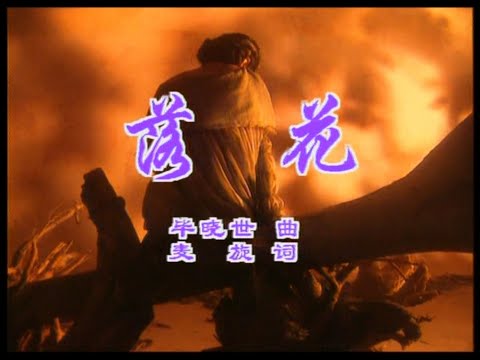 杨钰莹 - 落花