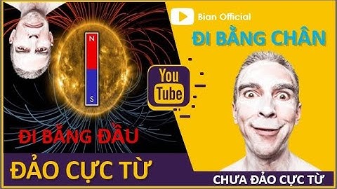 #12 Nếu trái đất đảo từ trường, CON người sẽ đi bằng CHÂN ?