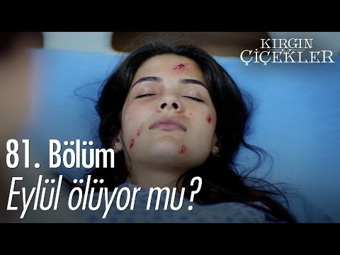 Eylül ölüyor mu? - Kırgın Çiçekler 81. Bölüm - atv