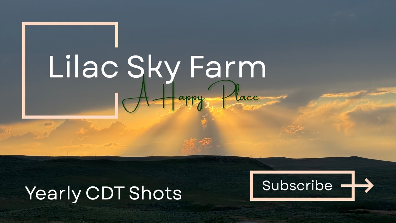 Dairy Goats Get Their Annual CDT Shots | Watch As We Get The Herd Ready For Kidding Season