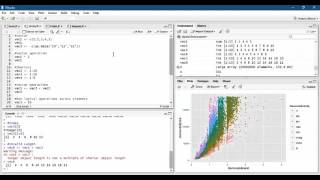 CS 341 Final Project: R Programming Language part 1