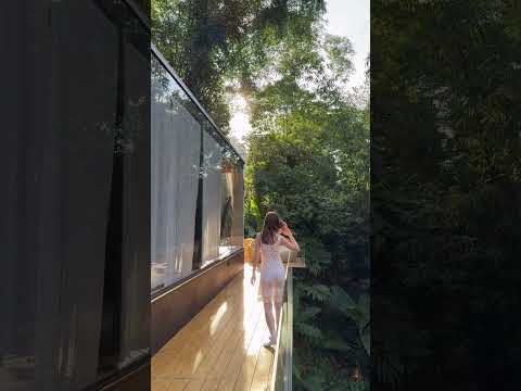 Naeleck Burning Wish Feat Roniit NCS Release Dnb Music Edm 