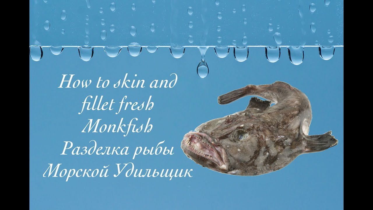 How to skin and fillet fresh Monkfish. Разделка рыбы Морской удильщик (Морской чёрт) YouTube