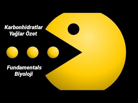 Karbonhidratlar - Yağlar Özet