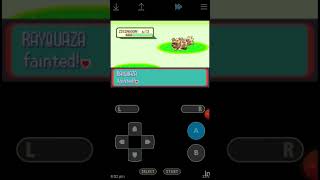 unlimited exp cheat codes in Pokemon Ruby Version