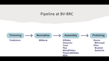 Introduction to the Assembly service