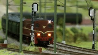 Model Railway HO Gauge with Animal Park
