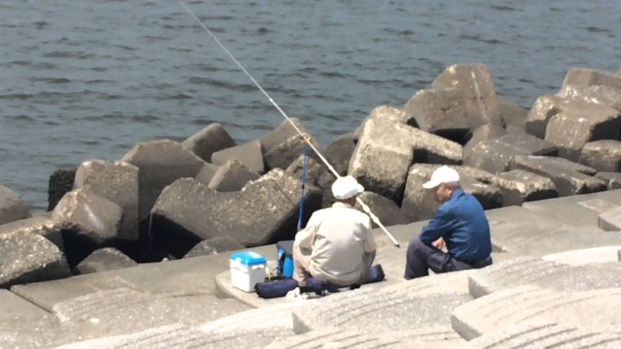 船橋 サビキ 釣り Manjenrishiri Web Fc2 Com