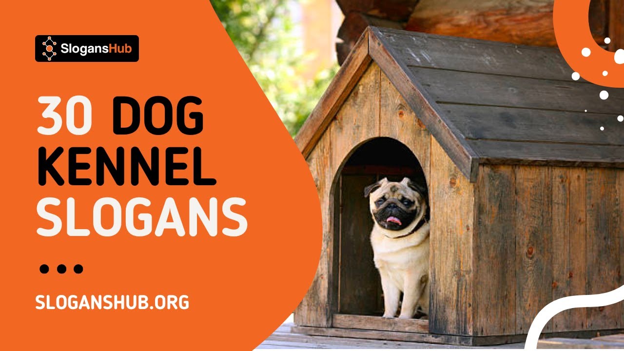 30 Catchy Dog Kennel Slogans Catchy Doggy Daycare Slogans Slogans 30-catchy-dog-kennel-slogans-catchy-doggy-daycare-slogans-slogans
