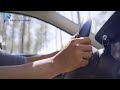 Blue Bird Rentals Video 03