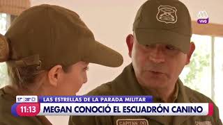 Cachorros de la Escuela de Adiestramiento Canino de Carabineros en la Parada Militar 2017