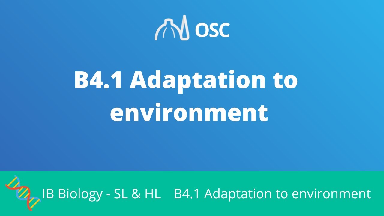 B4.1 Adaptations to the Environment [IB Biology SL/HL]