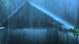 Sleep Well with the Rhythm of Showers & Thunder Resounding on the Metal Roof in the Night Forest by Danny Louis 661,348 views 4 weeks ago 10 hours