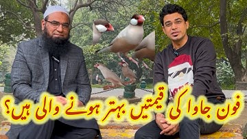 Java ka kya future ha?