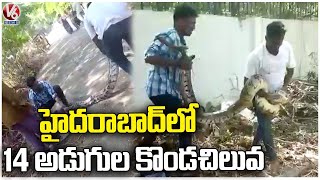 14 Feet Python Caught At Secunderabad Rail Nilayam Colony Park | V6 News