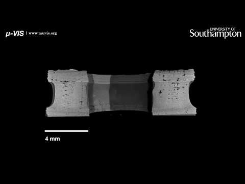 Dissolution over time of a 3D printed dosage form captured with time-resolved CT imaging