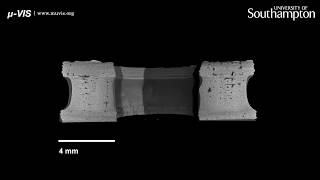 Full Dissolution over time of a 3D printed dosage form captured with time-resolved CT imaging News