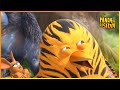 Dúo Explosivo La Pandilla De La Selva 75 Compilación Dibujos Animados Para Niños 