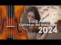 A violin by luiz amorim cremona 2024  masterful performance by sofia manvati  fine violins