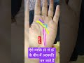ऐसे व्यक्ति 40 से 45 के बीच अरबपति बन जाते हैं#astrology#palmistry #fatcs #rishabhjithepalmist#शॉर्ट