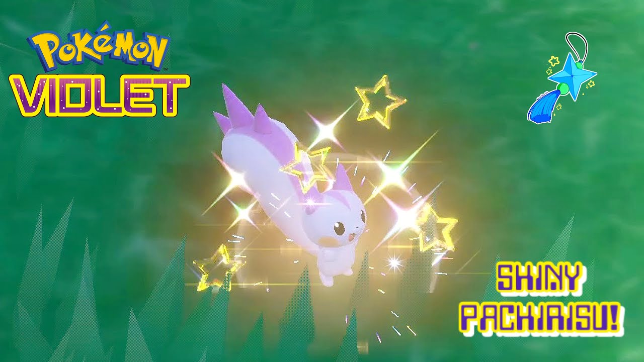 PACHIRISU Shiny 6IV / Pokemon Scarlet and Violet / Competitive