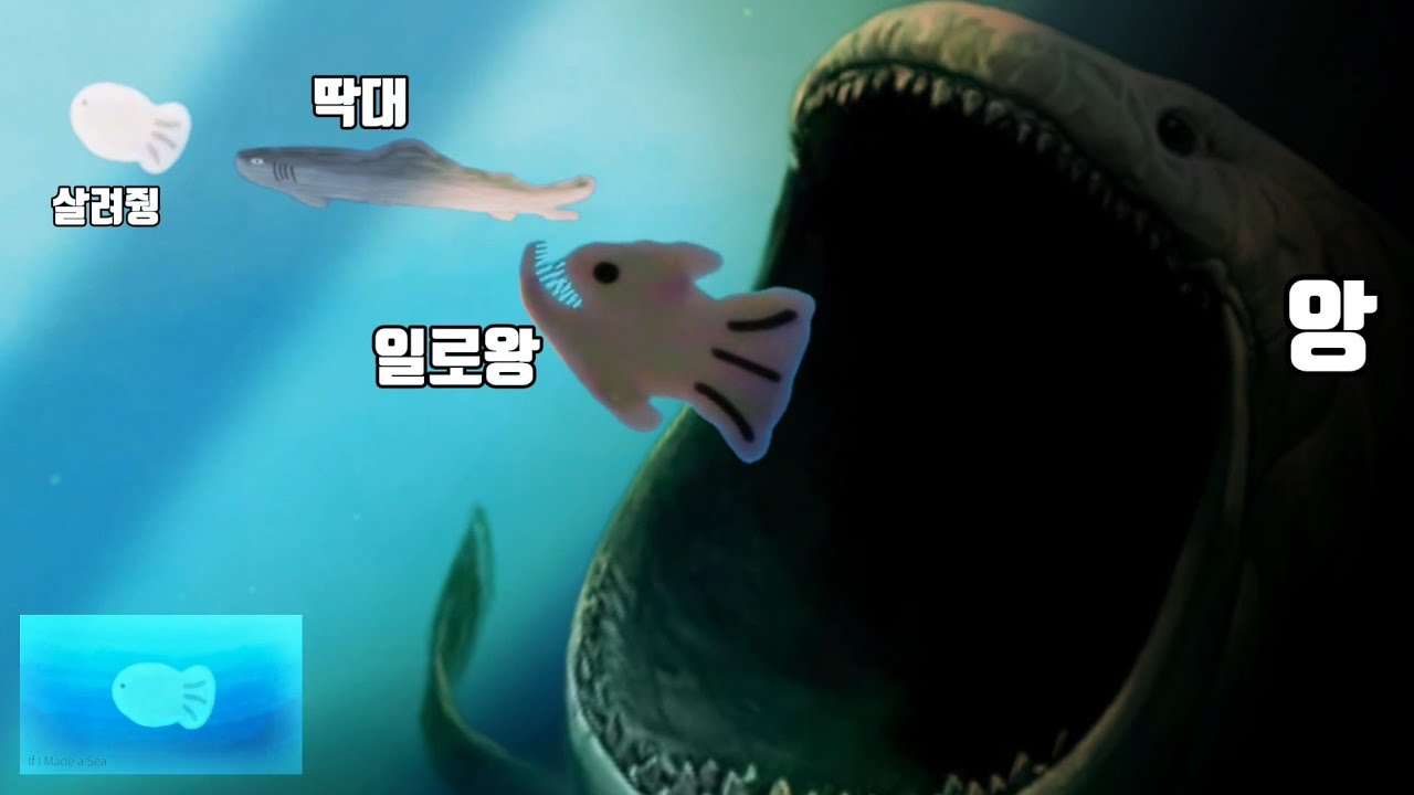 과연 바닷속에는 무슨일이 벌어질까?