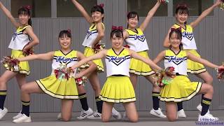 常磐大学高等学校チアリーダー4回目@常磐大学・2019年ときわ祭 - YouTube