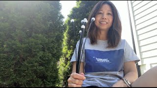 Solar garden lights! Watch how they work. Do they look like fireflies