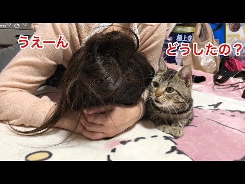 猫が妹に甘えてる最中に突然泣き崩れてみた結果ｗ