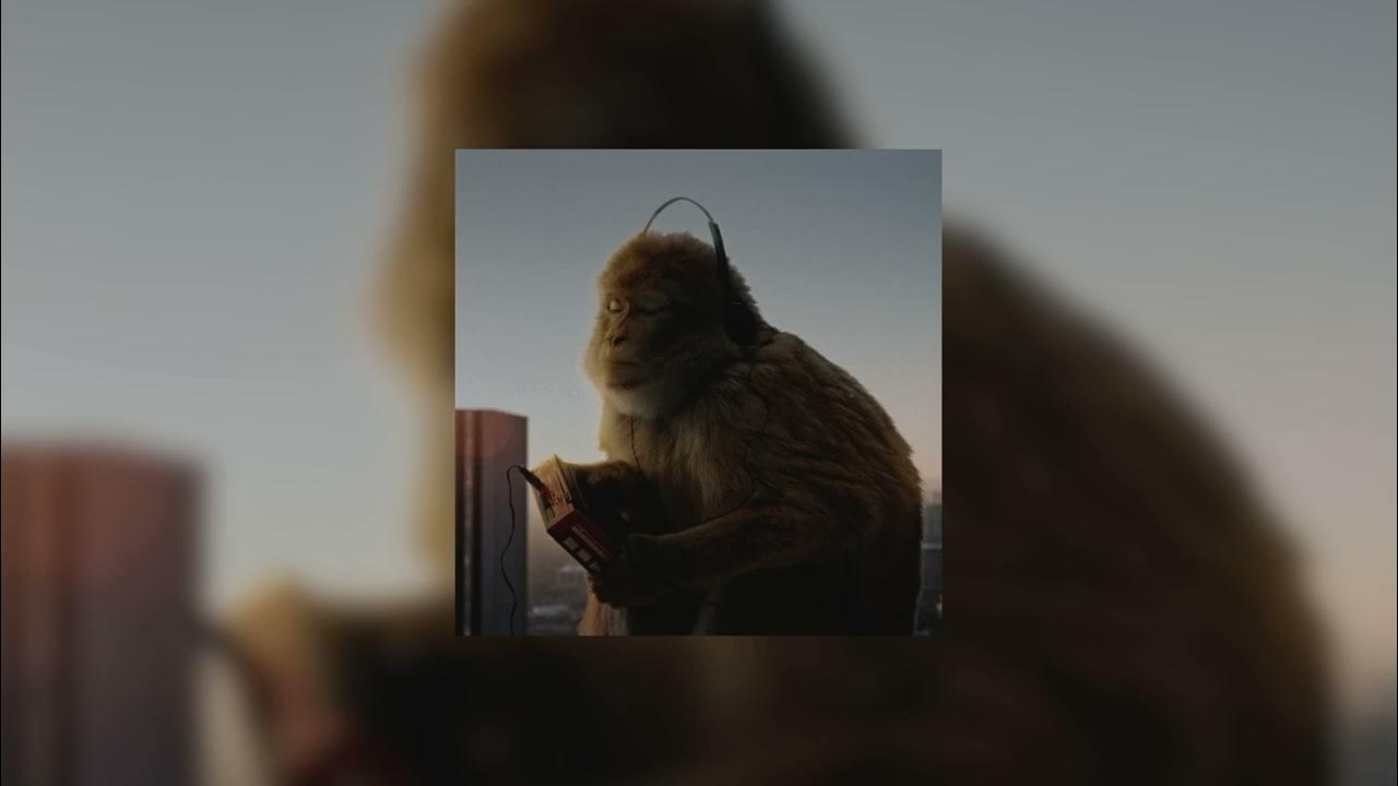 Travis Scott - 4X4 (Slowed X βπ¦π«π’πͺππ±π¦π βπ’π³π’π―π) Travis Scott - 4X4 (Slowed X βπ¦π«π’πͺππ±π¦π βπ’π³π’π―π)