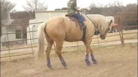 LR Bueno Pine -    ***For up-to-date info, price, etc., go to our website***