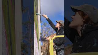 Villavieja del Lozoya - Paredes que Hablan