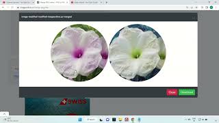 Merge PNG online - imageonline.co