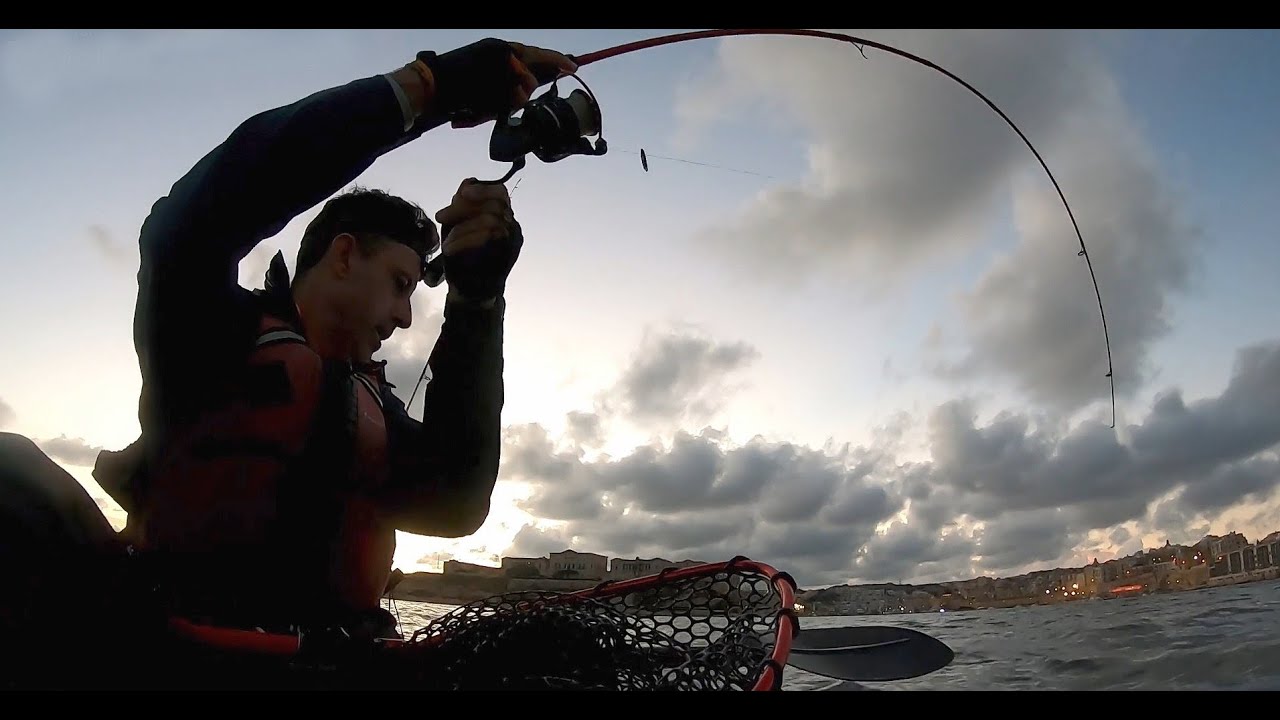 This fish broke my cheap rod ! Port fishing