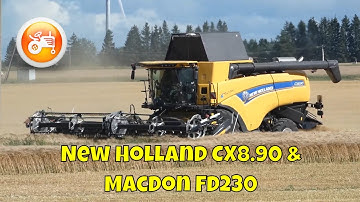 Harvest 2022 | New Holland CX8.90 combine & MacDon FD230 header