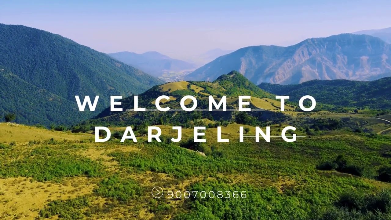 Amazing Tea Garden Available For Sale In Darjeeling