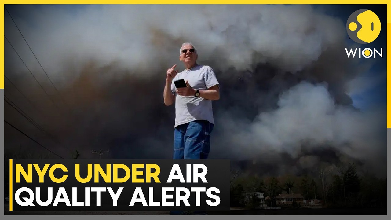 New York City Activates Heat Emergency Plan: Air Quality Health ...