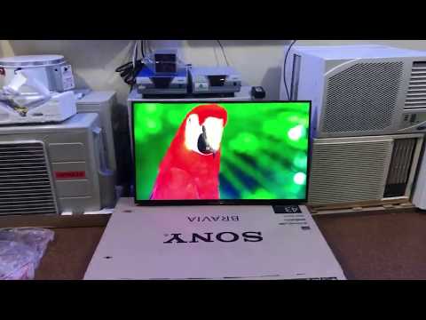 Sony