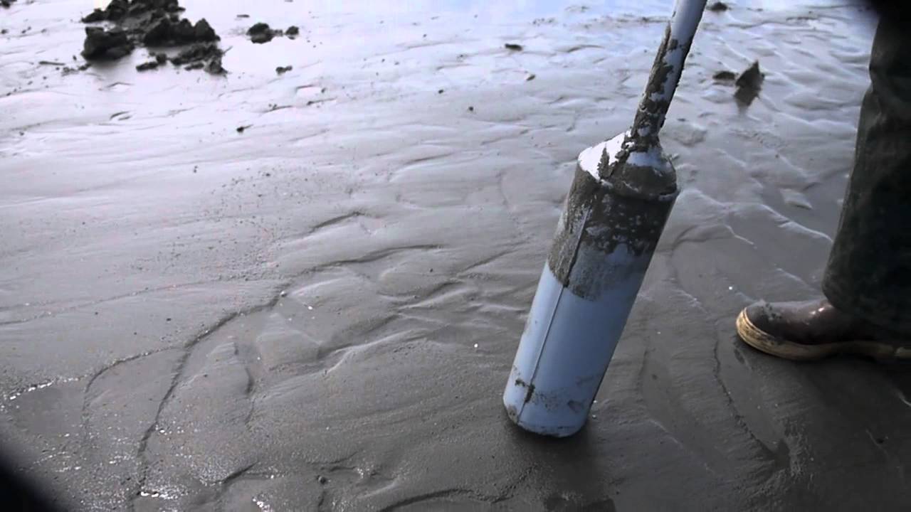 How to Dig Razor Clams With a Clam Gun 