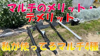 マルチはもっとも大切な資材かもしれません。マルチの良い点、悪い点、農家の私の使い方