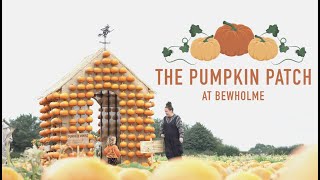 The Pumpkin Patch Produce || Pick Your Own Pumpkins Promo