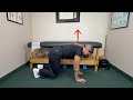 DNS Low Bear Position | Core Stability &amp; Shoulder Strength Exercise | Livonia Chiropractor