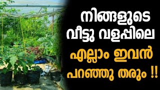 വീട്ടു വളപ്പിലെ എല്ലാം സസ്യങ്ങളും ഇനി ഈ ആപ്പ് പറഞ്ഞു തരും | LeafSnap Plant Identification Malayalam