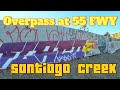 A Walk to the Overpass at 55 FWY