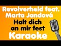 Miniature de la vidéo de la chanson Ich Halt' Dich Fest (Instrumental)