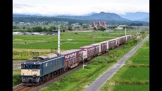 伯備線貨物3089列車を原色のEF64 1028号機が牽引！