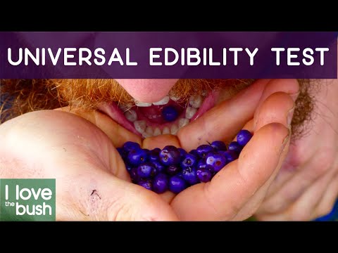 Vídeo: Como funciona o teste de comestibilidade universal - maneiras de testar a comestibilidade de uma planta