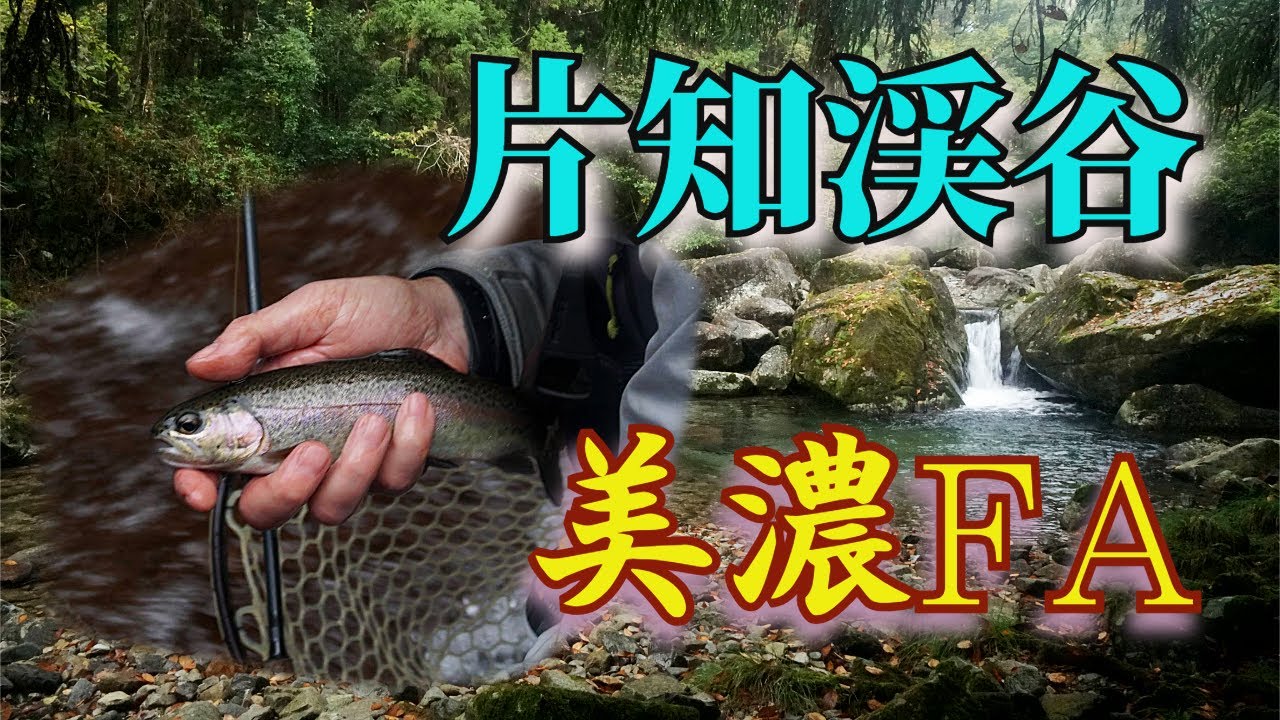 海外からのお客様を美濃フィッシングエリアにご案内してみた