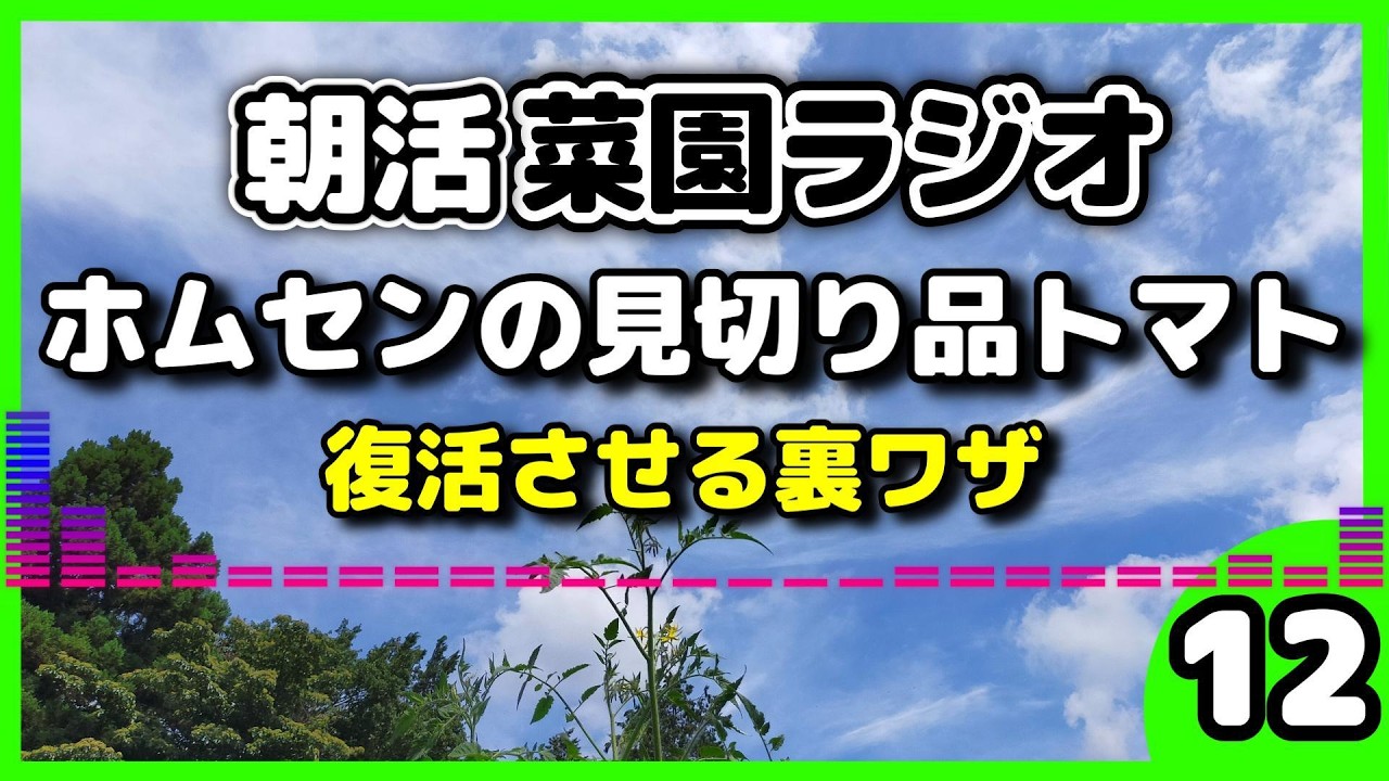 It's Not Too Late! Pro Tips for Reviving Discounted Tomato